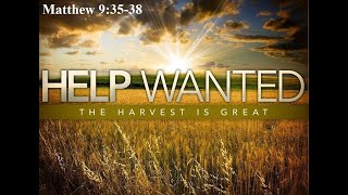 “Workers For the Harvest” - Matthew 9:35-38