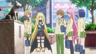 Should you watch: To Love-Ru Series?