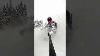 Utah snowboarding is incredible right now! #snowboarding #powder #utah #splitboarding