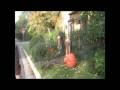 Acid Reflux Antics 2