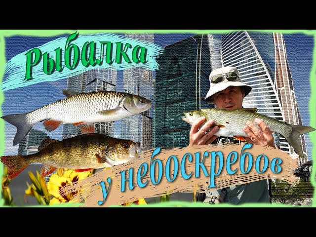 Рыбалка в центре Москвы