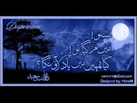 Ab Tere Bin Hum Bhi Jee Lenge