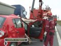 Un incidente con un animale