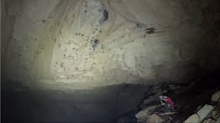 Nightmare Cave With Swarming Bats