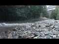 世界最速ミニモンスタートラック サベージXS FLUX 水中爆走