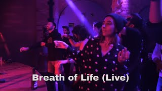 Breath of Life (Live) - Sina Bathaie