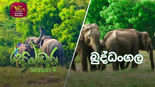 Sobadhara - Sri Lanka Wildlife Documentary | 2021-11-19 | Buddhangala Sanctuary