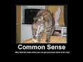 Lack Of Common sense 11