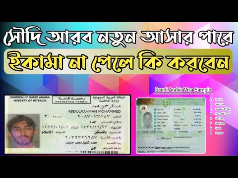 সৌদি আরব ভিসা নিয়ে আসার পারে তিন মাস হয়েছে ইকামা পাননি কি করবেন?saudi Arabia coming no iqama
