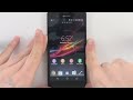 phonearena
