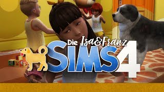 Gassi gehen mit ALLEN Hunden?! #20 ? Die Sims 4 Hunde & Katzen