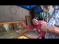 Video 43. ТЫ НАША МАТА ХАРИ))) ТИБЕТСКИЕ СУМОЧКИ... ОТКРЫВАЮ НОВЫЙ КАНАЛ. ИНДИЯ. ДХАРАМСАЛА...