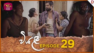 Viyali | Episode 29 - (2024-08-24)