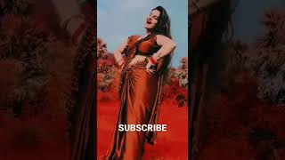 Brown Saree