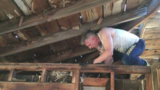 Crow Rescue and Knighting in Calsahara