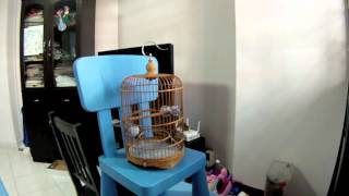 Parents Feeding Baby Puteh