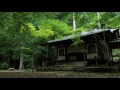 [4K] 高山寺 京都の庭園　Kozan-ji Temple [4K] The Garden of Kyoto Japan