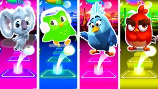 Duolingo Back To Outback Angry Blue Bird Angry Bird Who Is Best