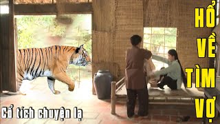 -2F1VU2PGww Video Image