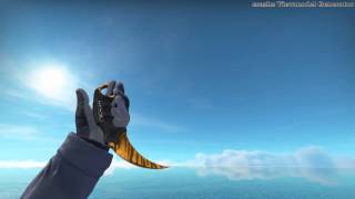 Karambit Tiger Tooth Fn Show Case