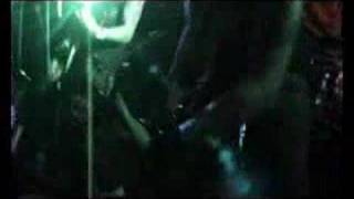 Watch Trashlight Vision Nola video