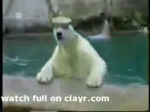 world most funny video.flv most funny pictures in world. world most funny video.flv