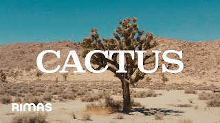 Tommy Torres - Cactus