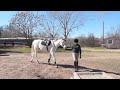 A Girl And A Horse images A Girl And A Horse