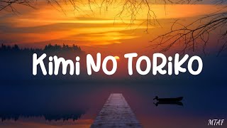 Kimi No Toriko - Rizky Ayuba (Lyrics)