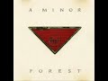 A Minor Forest - erik's budding romance.wmv