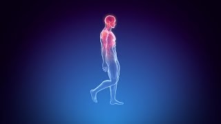Full Restore Body Mind Spirit Healing 10 39 000hz Brain Healing Massage 9 Hour Sleep Meditation Music Full Restore Body Mind Spirit Healing 10 39 000hz Brain Healing Massage 9 Hour Sleep Meditation Music