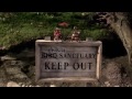 Chicken Run Part Ii Chicken Run Part Ii
