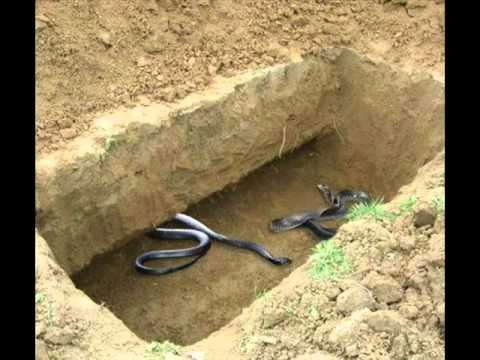 Maulana Tariq Sahab Pashto Bayan Da Qabar Azab Part (1 Of 4)...