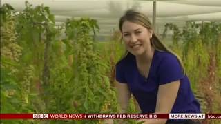 ICBA on BBC World News │ Future farming in harsh environments (April 2019)