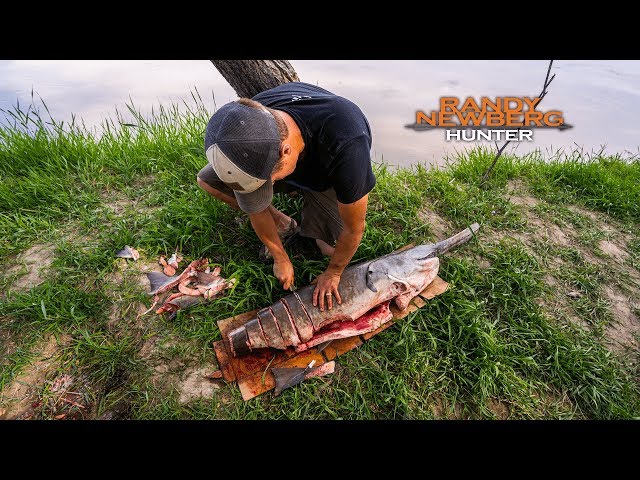 Watch How To Clean & Cook A Paddlefish on YouTube.