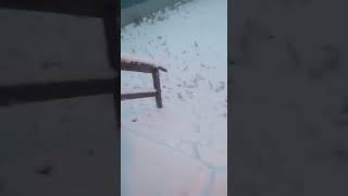 Снег Посреди Лета. Рудник «Купол», Чукотка