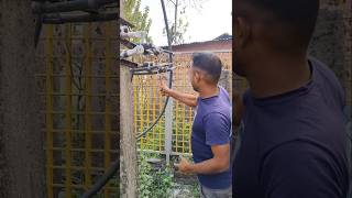 Electrician 440 Voltage 250 Transformer Lt Section