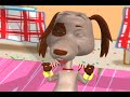 perro chocolo