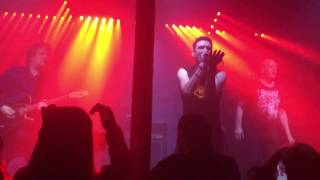 Watch Pig Wrecked video