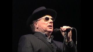 Watch Van Morrison If You Only Knew video