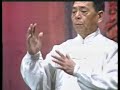 Primordial Qigong - Grandmaster Feng Zhiqiang