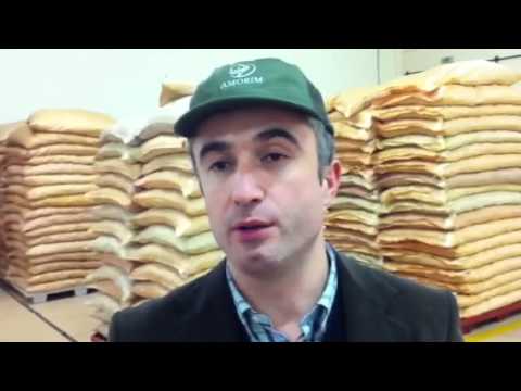 What Is Cork