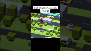 Sweating Crossy Road Is Crazy