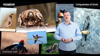 The Passion of Bird Photography
