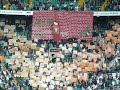 Green Brigade Ultras vs Aberdeen