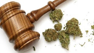 Marijuana Legalized Across The Country (Of Uruguay)  12/12/13
