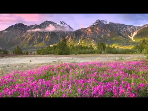 Jaane Jaan Dhoondta Phir Raha sung by Rasha