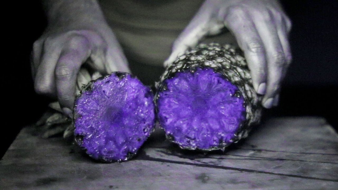 UV Camera Shows 10 Fruits In An Amazing New Way