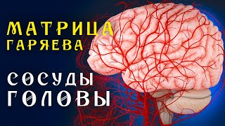 Матрица Гаряева Полная Очистка Сосудов Головы ☀️ Квантовое Исцеление Сосудов Звуком