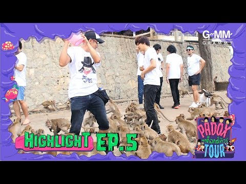 ฝูงลิงรุมทึ้งวง Paradox | Padoxtour